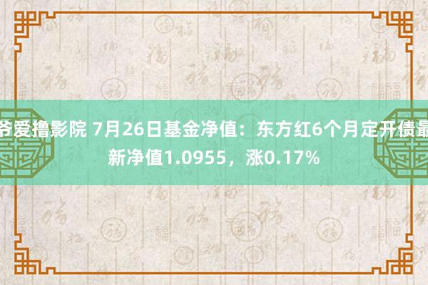 爷爱撸影院 7月26日基金净值：东方红6个月定开债最新净值1.0955，涨0.17%