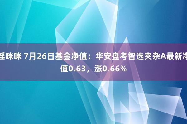 淫咪咪 7月26日基金净值：华安盘考智选夹杂A最新净值0.63，涨0.66%