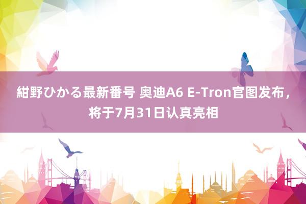 紺野ひかる最新番号 奥迪A6 E-Tron官图发布，将于7月31日认真亮相