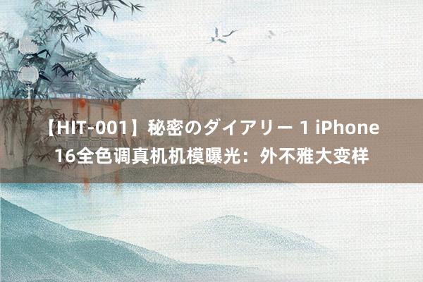 【HIT-001】秘密のダイアリー 1 iPhone 16全色调真机机模曝光：外不雅大变样