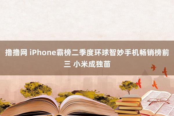 撸撸网 iPhone霸榜二季度环球智妙手机畅销榜前三 小米成独苗