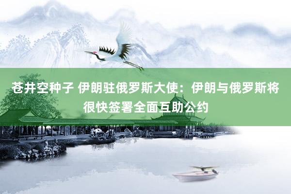 苍井空种子 伊朗驻俄罗斯大使：伊朗与俄罗斯将很快签署全面互助公约