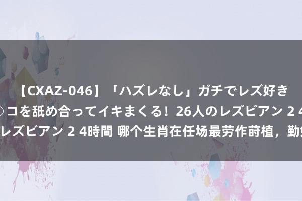 【CXAZ-046】「ハズレなし」ガチでレズ好きなお姉さんたちがオマ○コを舐め合ってイキまくる！26人のレズビアン 2 4時間 哪个生肖在任场最劳作莳植，勤勉不啻？