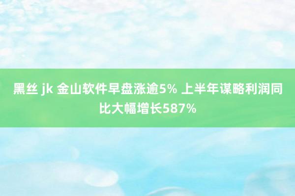 黑丝 jk 金山软件早盘涨逾5% 上半年谋略利润同比大幅增长587%