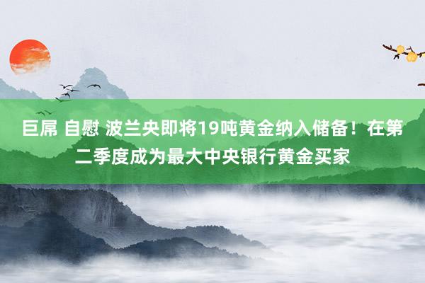 巨屌 自慰 波兰央即将19吨黄金纳入储备！在第二季度成为最大中央银行黄金买家