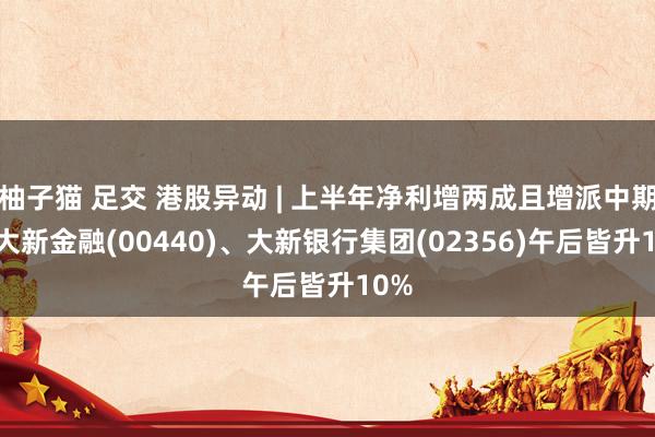 柚子猫 足交 港股异动 | 上半年净利增两成且增派中期息 大新金融(00440)、大新银行集团(02356)午后皆升10%