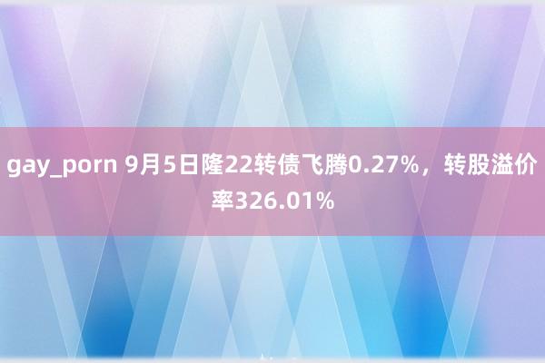 gay_porn 9月5日隆22转债飞腾0.27%，转股溢价率326.01%