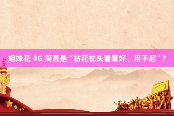 姐妹花 4G 简直是“拈花枕头看着好、用不起”?